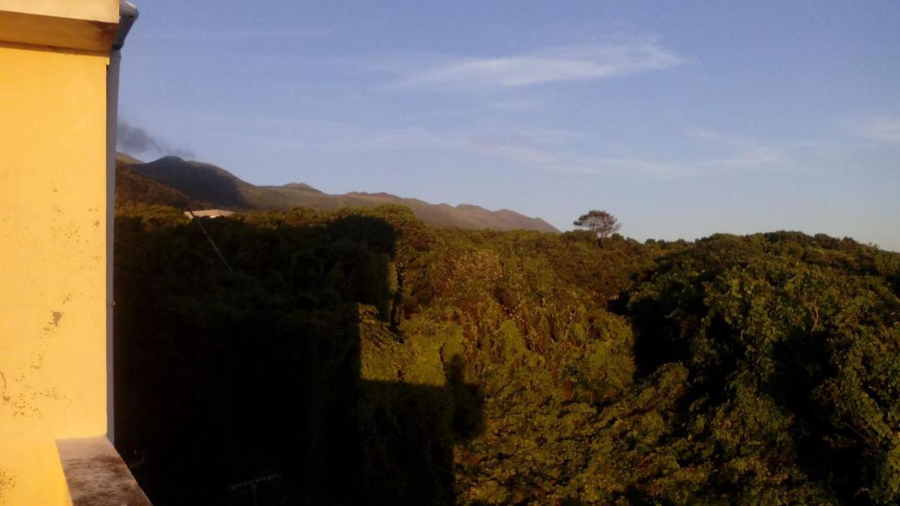 Quinta Dos Dragoeiros - Rral Nº3452