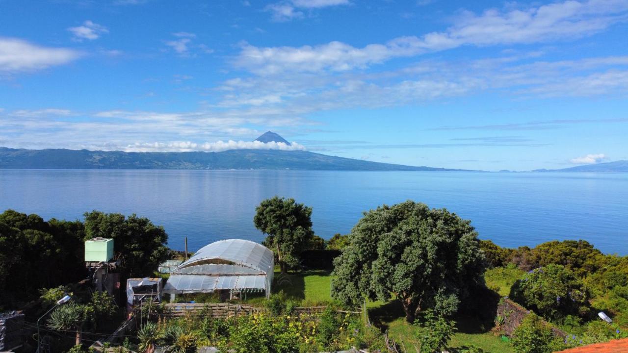 Homestay Quinta Dos Dragoeiros - Rral Nº3452 Queimada (Azores)